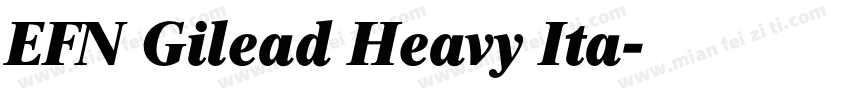 EFN Gilead Heavy Ita字体转换